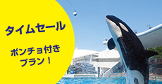 【年齢制限無し】「子どもと一緒に体験しよう！魚たちへの給餌体験付き宿泊プラン」【チェックアウト日体験】